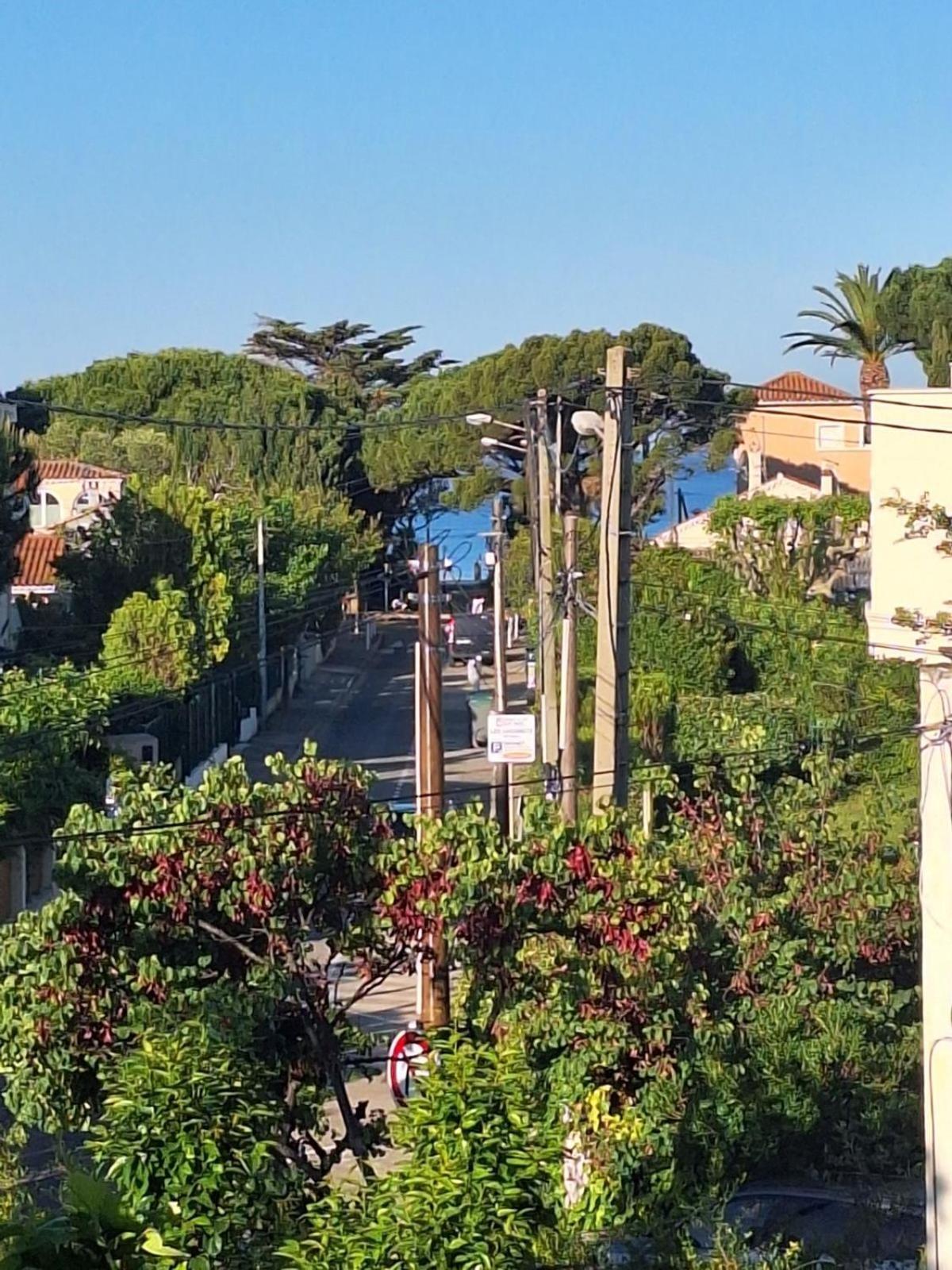 Appartement bord de mer avec terrasse Saint-Cyr-sur-Mer Eksteriør bilde